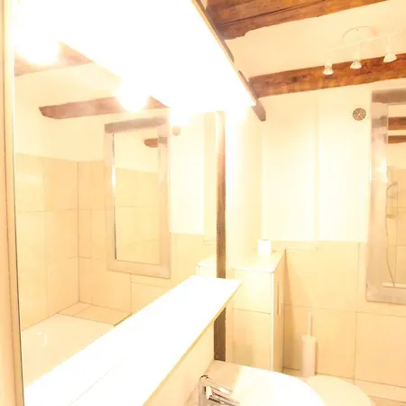 Historic Center - Alsacian Petite Venise 1 - Bookingalsace Apartment