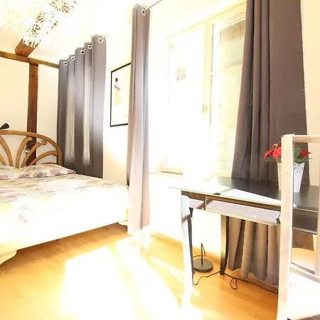 Historic Center - Alsacian Petite Venise 1 - Bookingalsace Апартаменты Кольмар