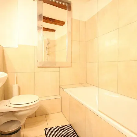 Апартаменты Historic Center - Alsacian Petite Venise 1 - Bookingalsace *