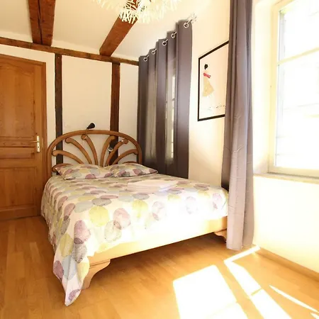Apartment Historic Center - Alsacian Petite Venise 1 - Bookingalsace *